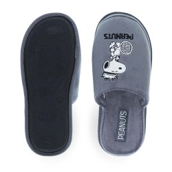 Ανδρικές παντόφλες Peanuts